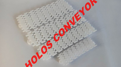 柔性鏈板輸送機(jī)流水線有什么特點(diǎn)？